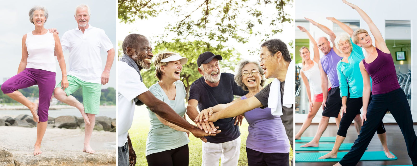 Supplements for Seniors