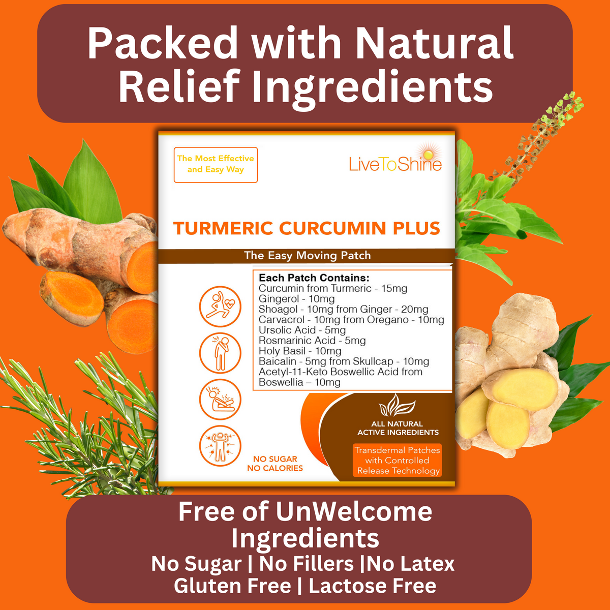 Turmeric Curcumin Anti Inflammatory Patches